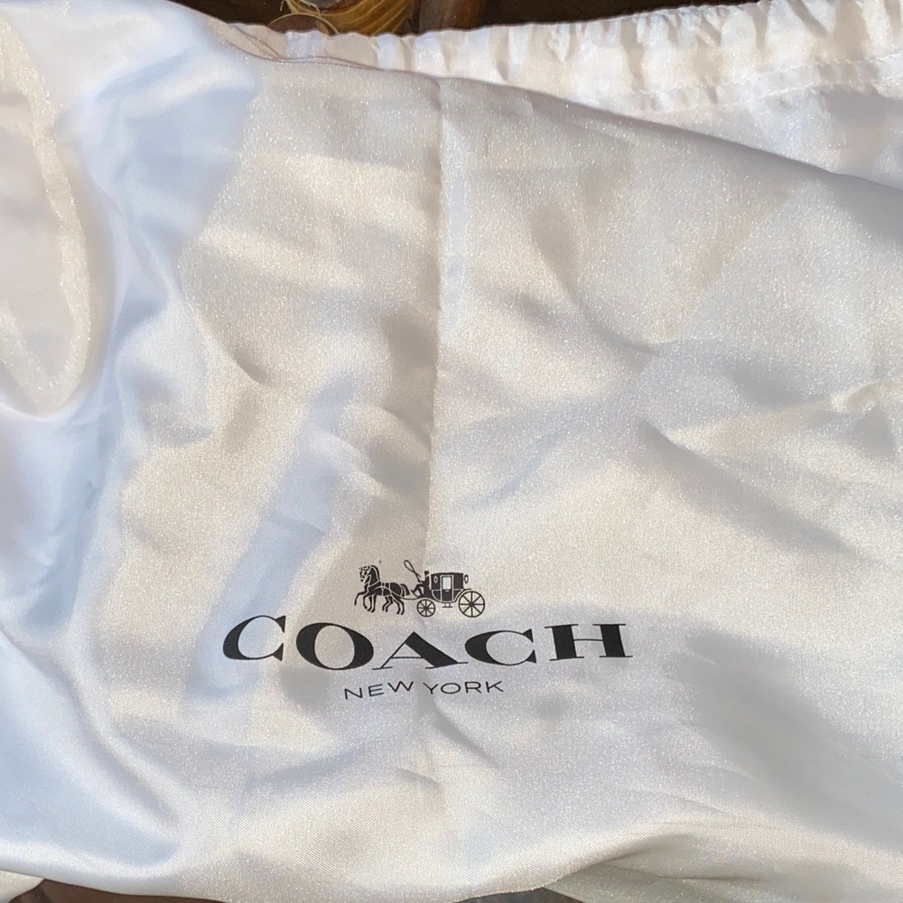 Coach Cassie Bag with Gold Chain - Picture 10 of 11